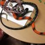 Snakes plastic collection Image 2