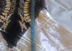 Designer Irish dancing custom