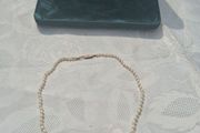 9k Gold Freshwater Graduating Pearl Necklace