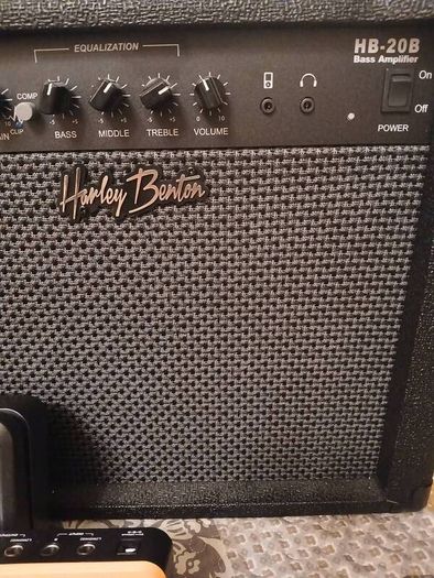 Bass Amp Effects Pedal looper