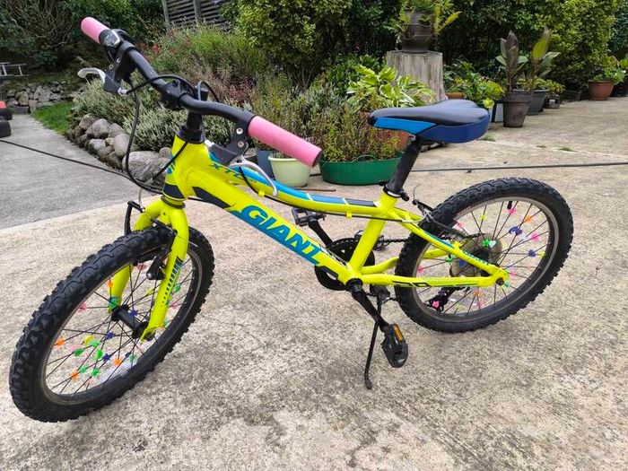Giant XTC Jr 20 inch Kids Mountain Bike