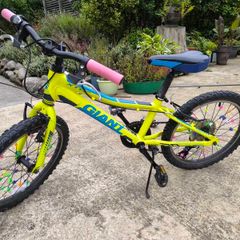 Giant XTC Jr 20 inch Kids Mountain Bike