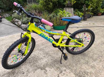 Giant XTC Jr 20 inch Kids Mountain Bike
