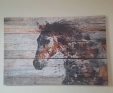 Horse Canvas picture