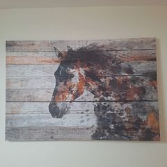 Horse Canvas picture