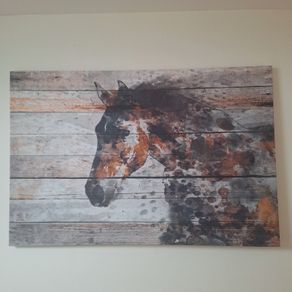 Horse Canvas picture