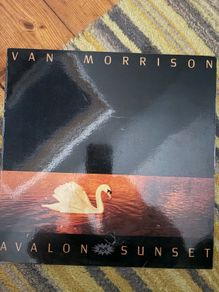 Van Morrison vinyl lp