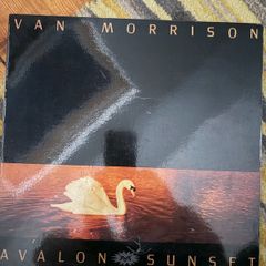 Van Morrison vinyl lp