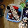 OMG and Rainbow High dolls PRICE DROP Image 2