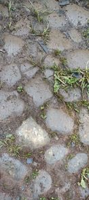 Cobbles/Rounded Stones