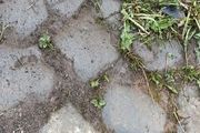 Cobbles/Rounded Stones