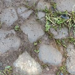 Cobbles/Rounded Stones