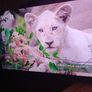 Smart Tv Image 2