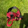Medium Dog Harness Image 2