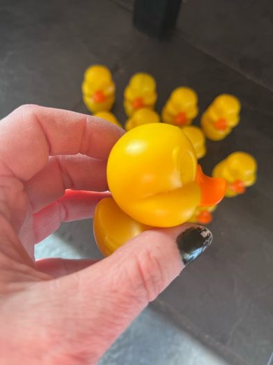 Ducks