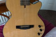 Cort Nylectric Guitar
