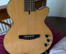 Cort Nylectric Guitar