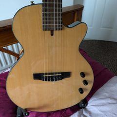 Cort Nylectric Guitar