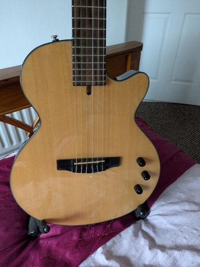 Cort Nylectric Guitar