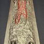 Sideshow Premium Format Han Solo in Carbonite 1/4 scale statue ROTJ Image 5