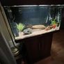 Fish tank Image 3