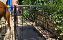 dog crate