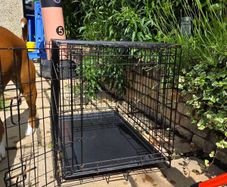 dog crate