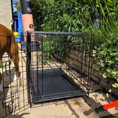 dog crate