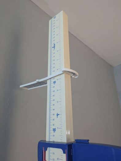 Seca Stadiometer