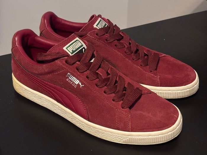 puma swades
