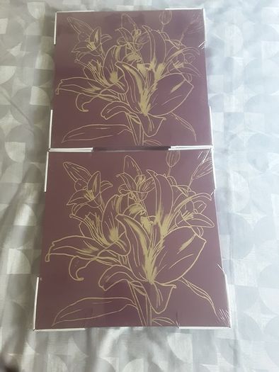 Pictures x Two Lightweight Wall Canvases .. Price Drop