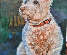 Westi West Highland terrier - original oil painting