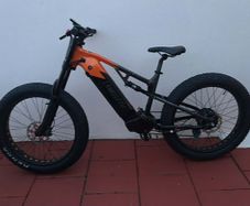 Electric mountain bike