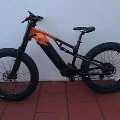 Electric mountain bike