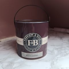 2.5 litre Farrow & Ball Ammonite paint