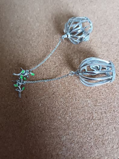 Birds in a cage earrings