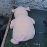 teddies Image 4