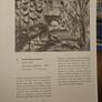 Art Of The State. 20th Century Irish Art From The State Collection. Large Volume Paperback In Good Condition.  See Photos For Same. Image 2