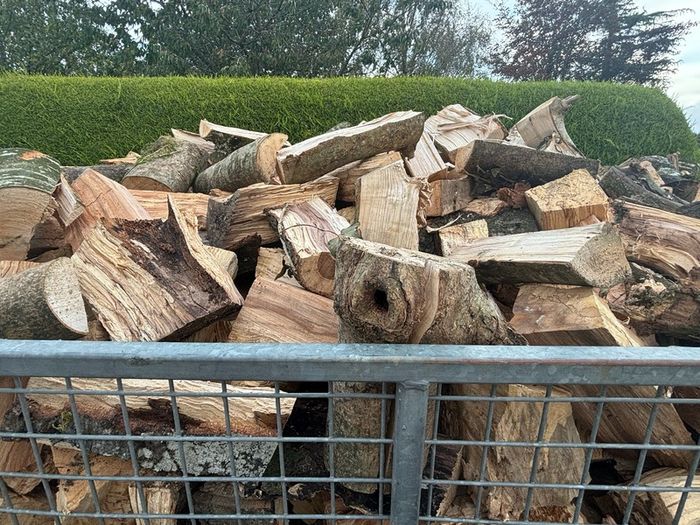 Firewood logs