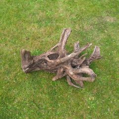 Fish Tank Drift Wood
