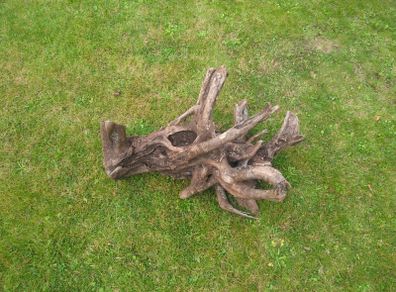 Fish Tank Drift Wood