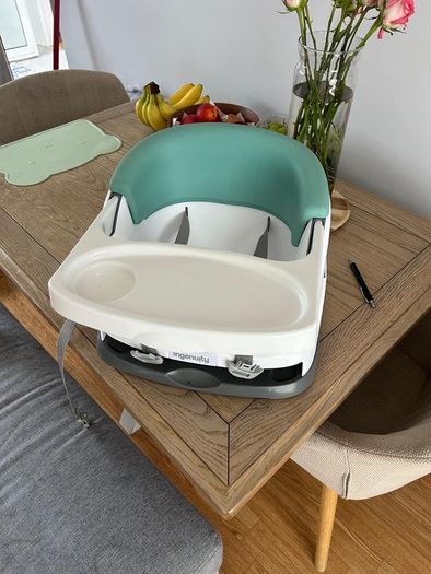 Ingenuity booster seat and try