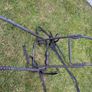 Bike rack (Hollywood F4) Image 4