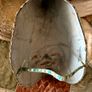 Authentic Venetian Mask Image 3