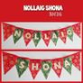 Nollaig Shona Christmas Bunting Image 2