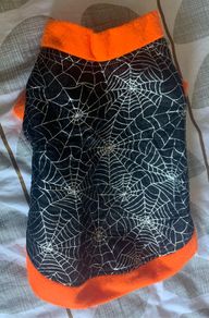 halloween Dog Costume