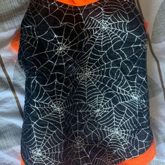 halloween Dog Costume