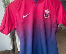 Norway Women's National Team (2019 season)