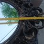 Elegant Mirror Image 6