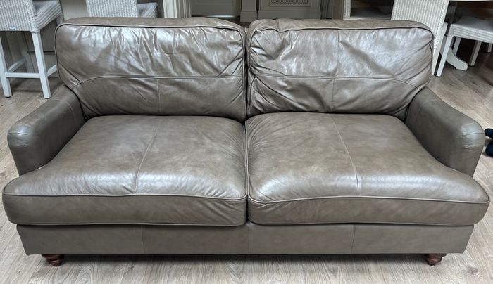 Two Leather Couches
